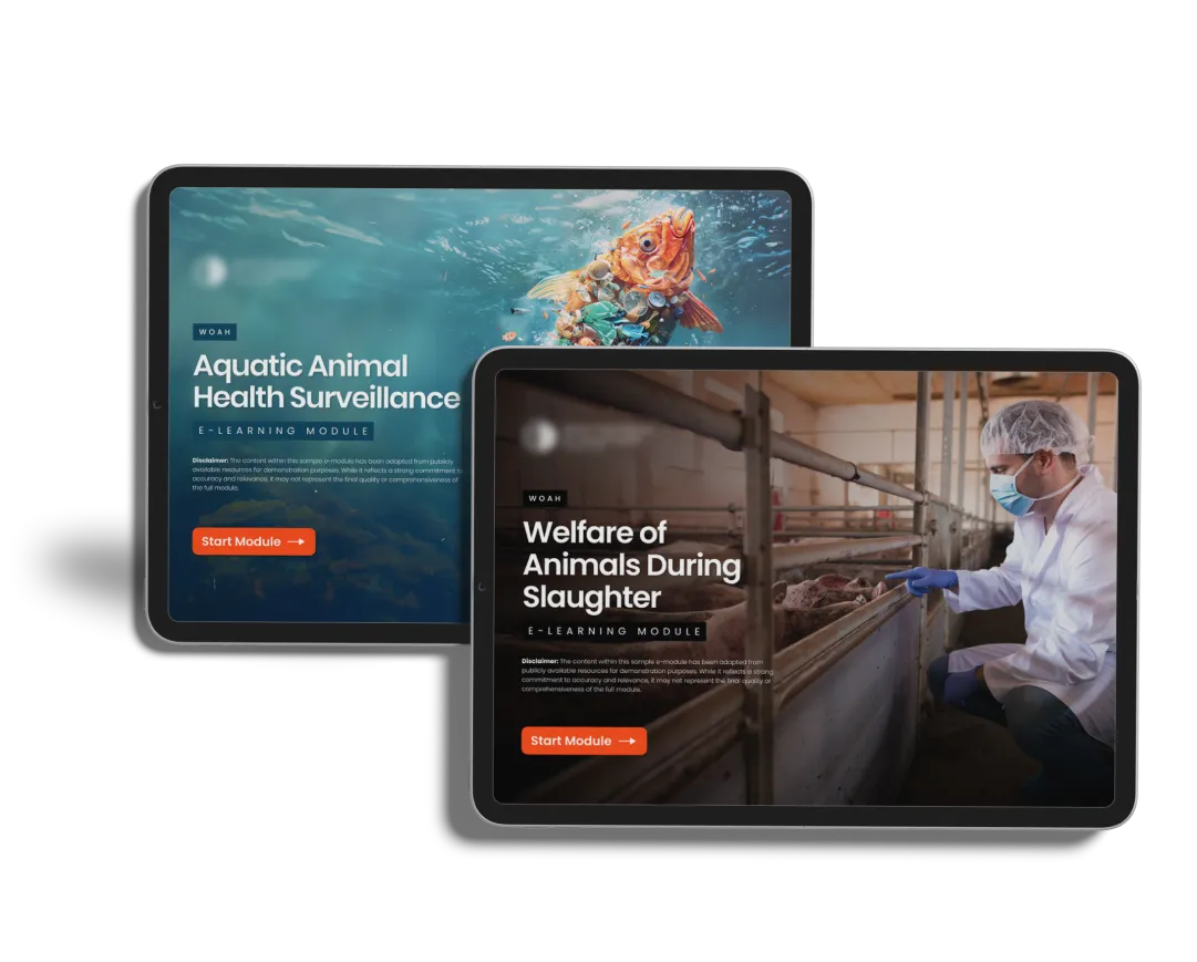 Transforming critical animal welfare practices into structured, scalable learning experiences.